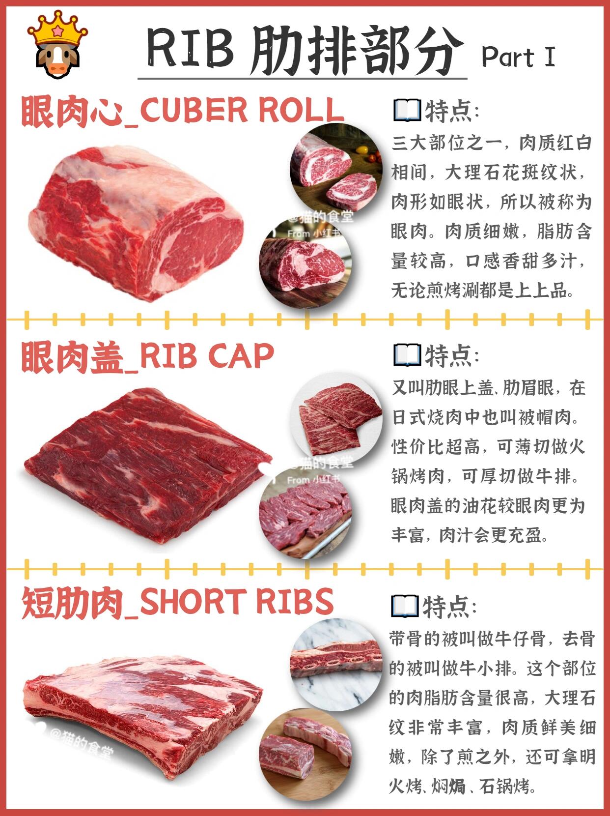 『🐂科普』常见牛肉的区别与用途🥩 第 4 张参考图