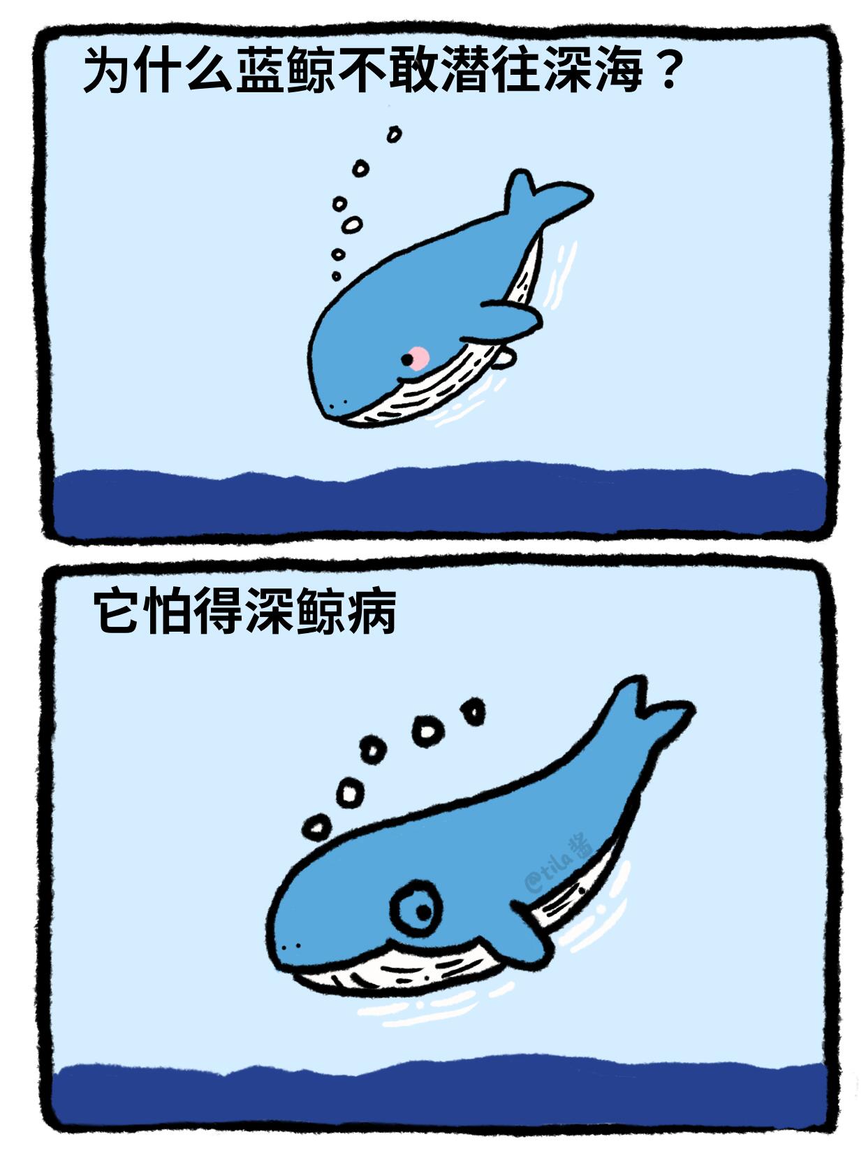 开海季，整点海底冷笑话 第 3 张参考图