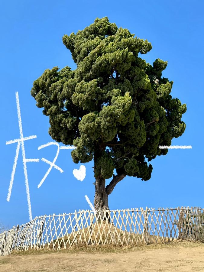 把日常碎片變成塗鴉日記貼文